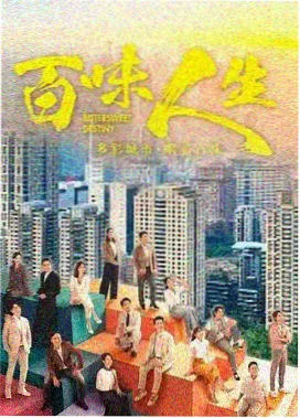 第003组脉络封面：桌面上摊开的账本与计算器